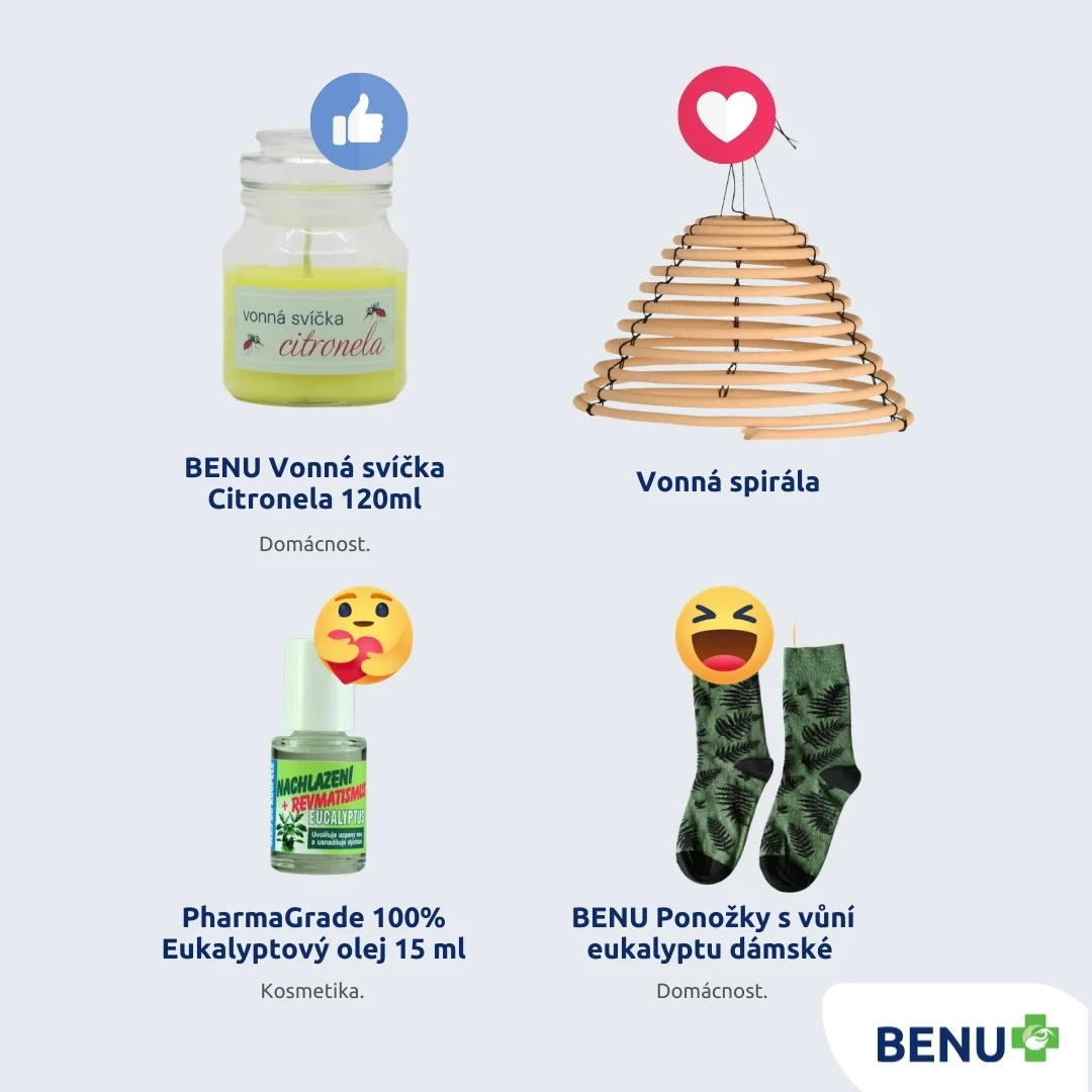 🦟Pomocníci v boji proti dotěrným komárům