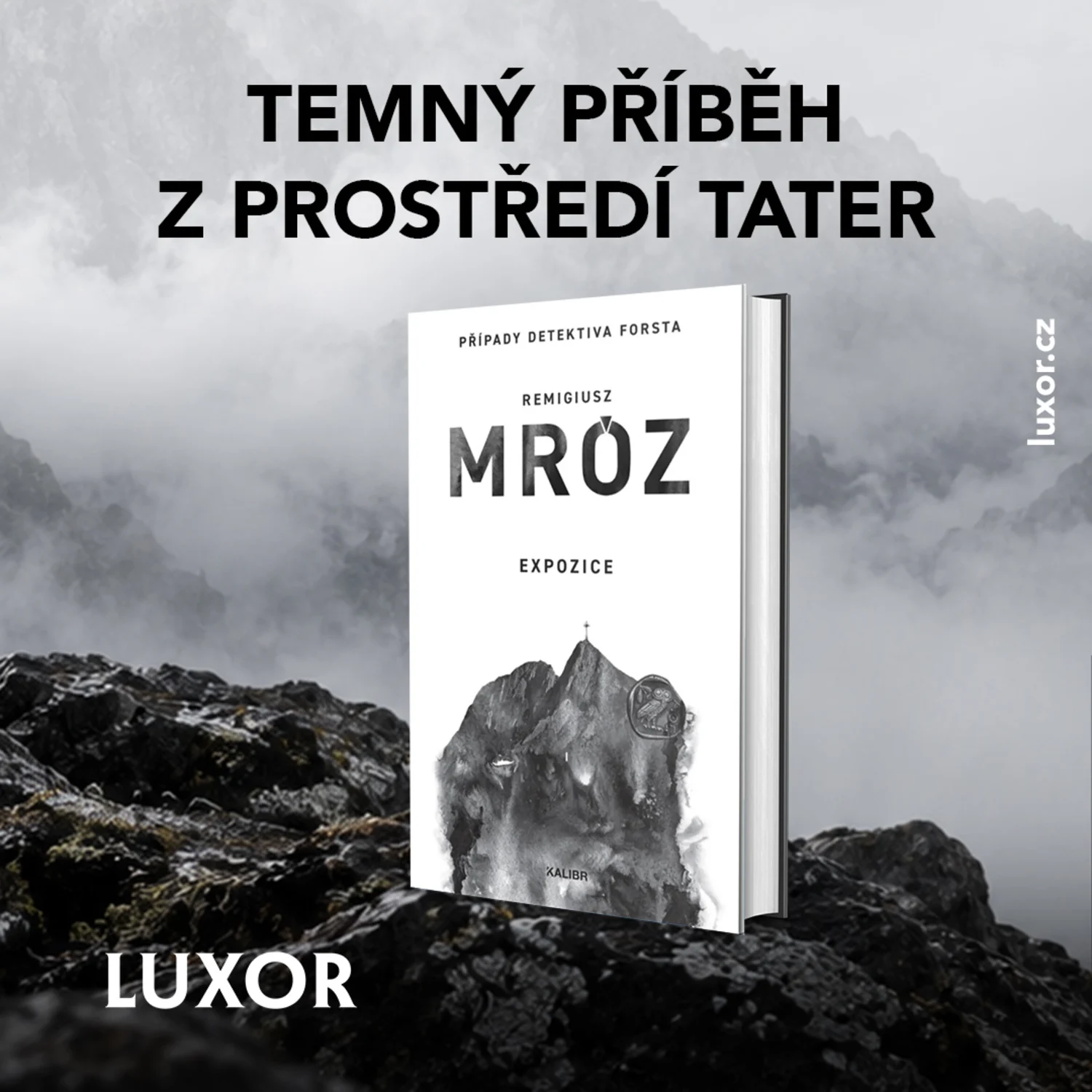Expozice – nová krimi Remigiusze Mróze